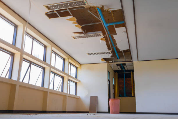 Best Flooded house restoration  in Mims, FL