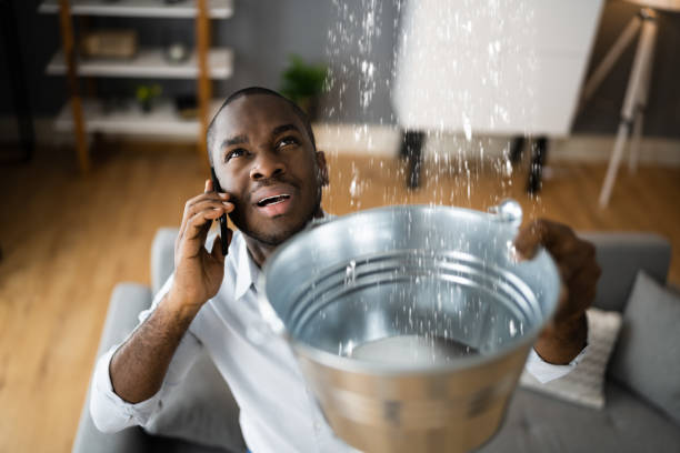 Best Water damage cleanup near me  in Mims, FL