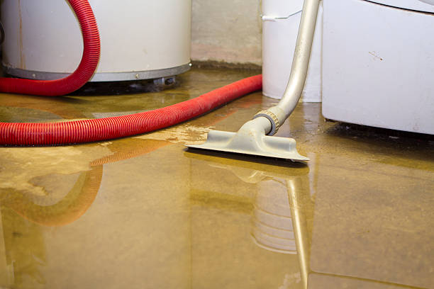 Best Basement water damage restoration  in Mims, FL