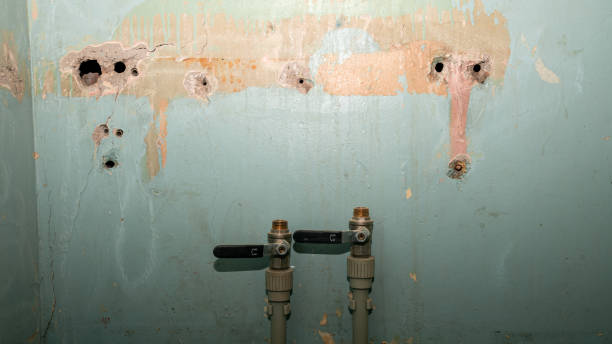 Best Fire Damage Restoration  in Mims, FL