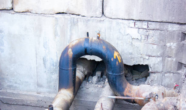 Best 24/7 water damage repair  in Mims, FL